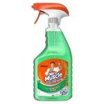 Mr Muscle window and glass cleaner case