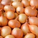 Onion 24kg bag